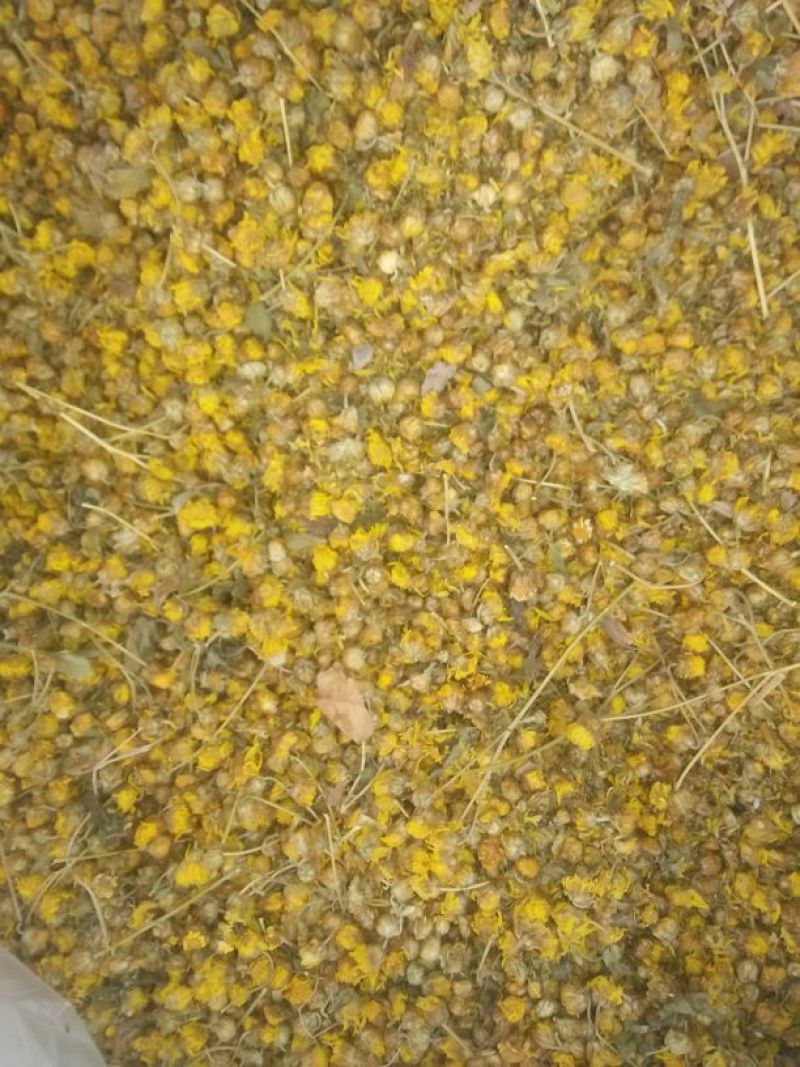 药用菊花散装