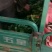 大叶菠菜20~25厘米