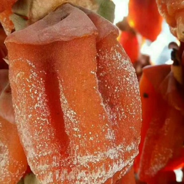 柿饼1两以下
