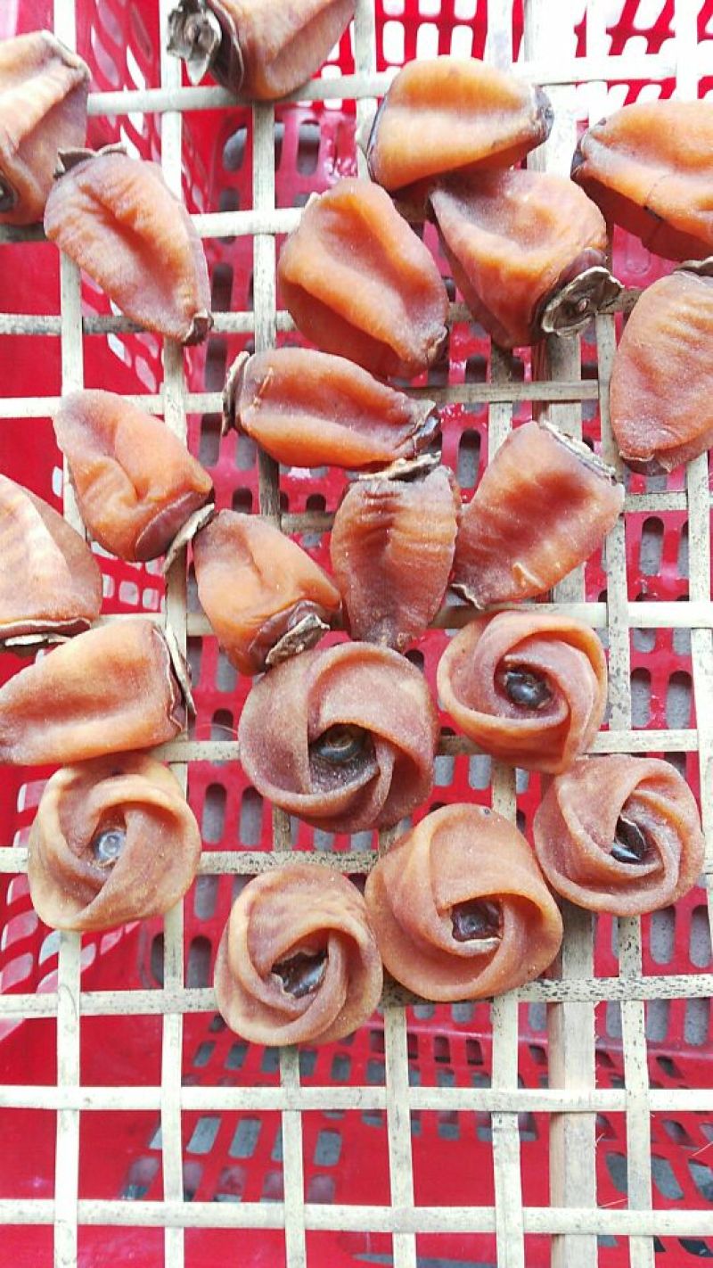 柿饼1~2两
