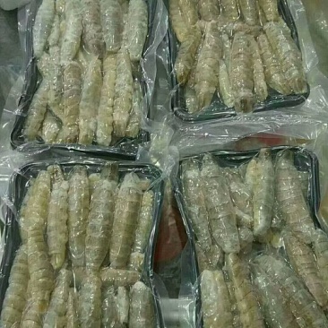 皮皮虾冻虾