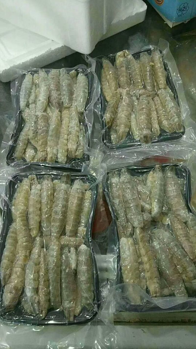 皮皮虾冻虾