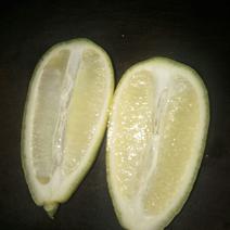 香水柠檬3.3~4.5两
