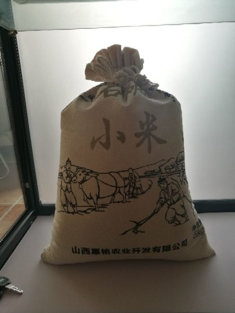 小米山西特产农家肥孕妇专