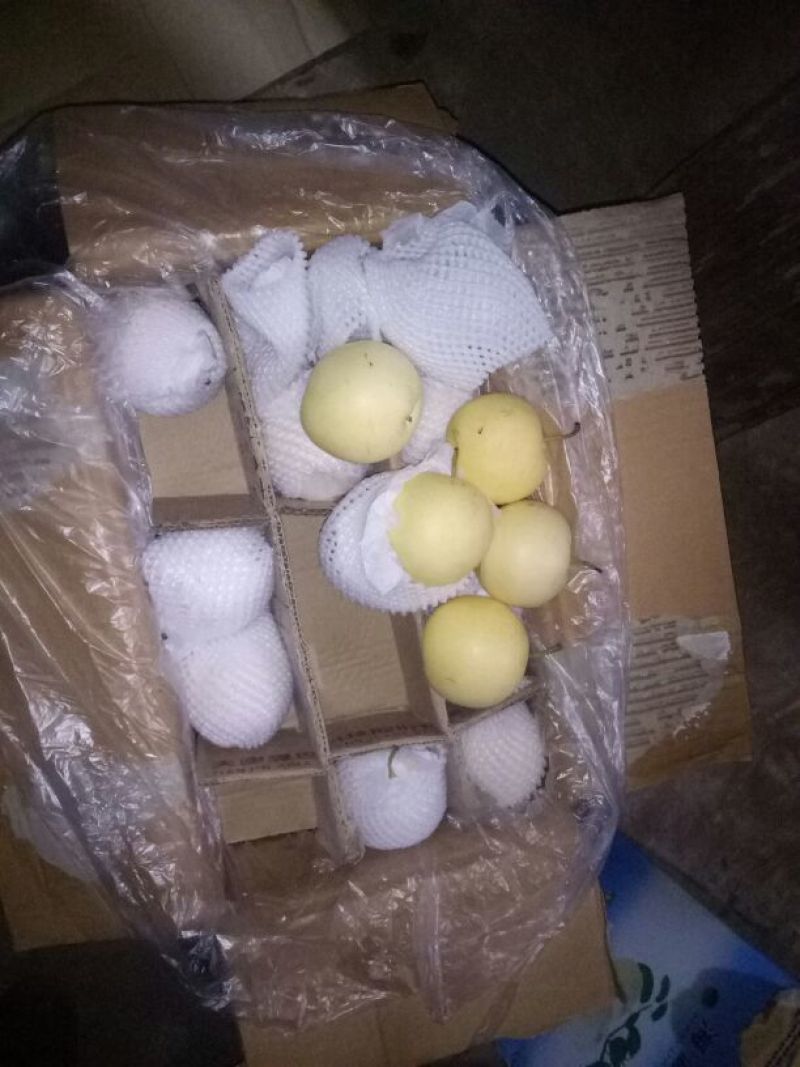 河北皇冠梨大量有货价格便宜产地直发一手货源