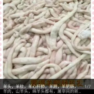 羊肠