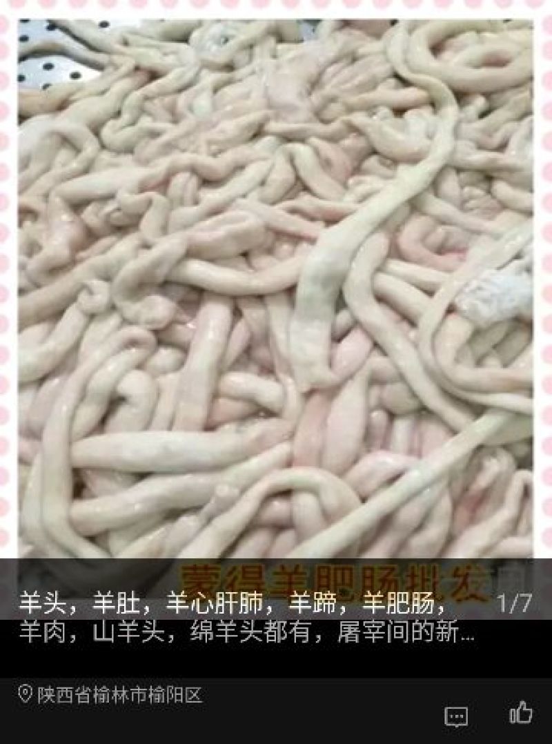 羊肠
