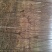 核桃苗50~100cm3~4年