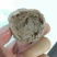 牛筋丸