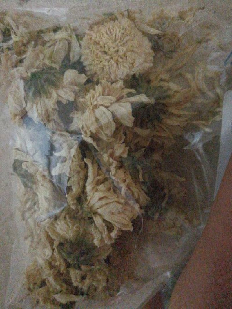 野菊花散装