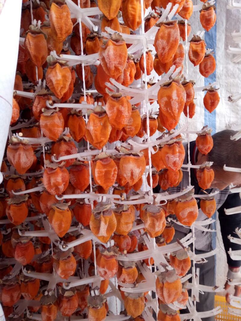 柿饼1~2两