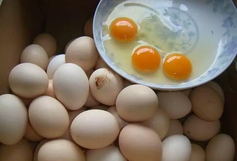 土鸡蛋50g以下食用