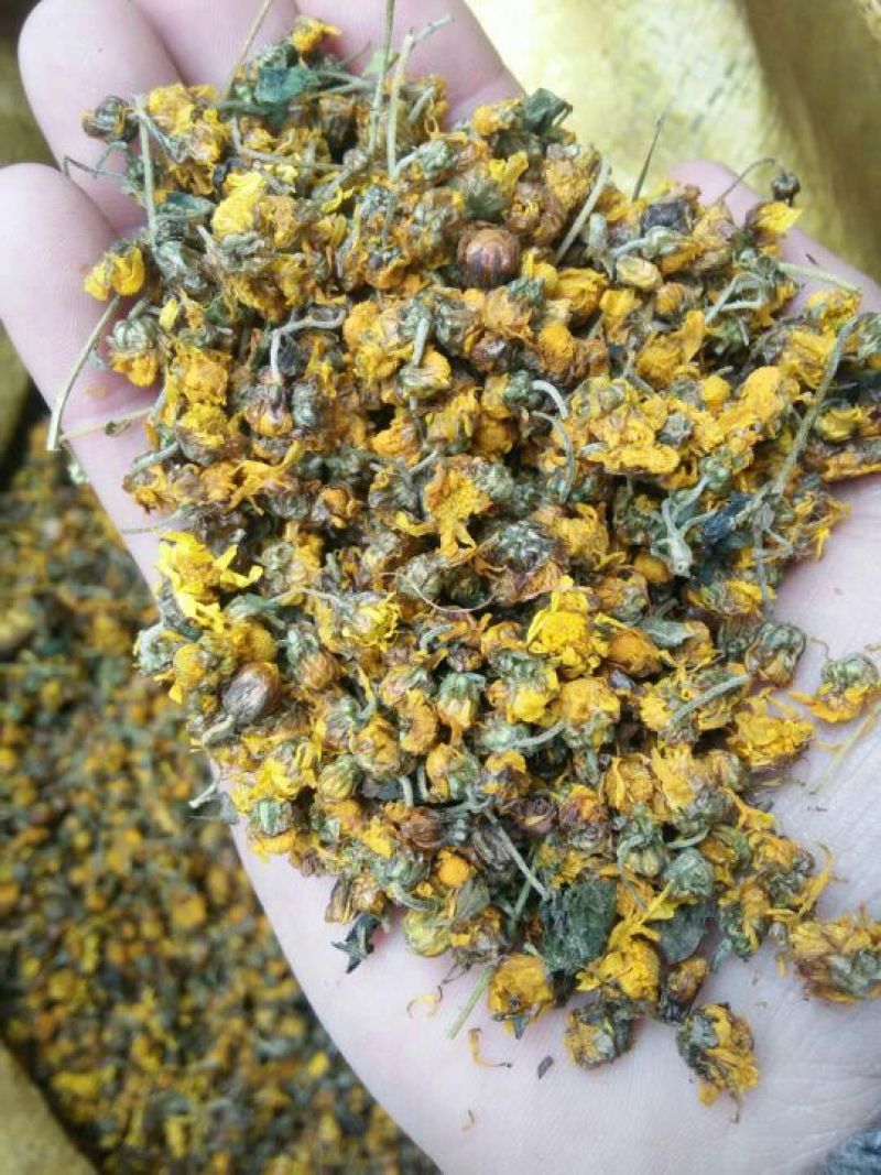 野菊花散装