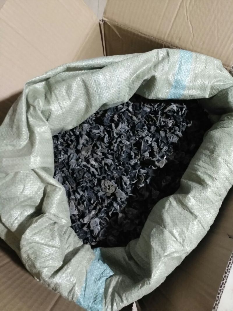 黑木耳特级