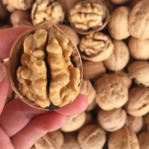 产地直销纸皮核桃185纸皮核桃新疆核桃新疆纸皮核桃包退包