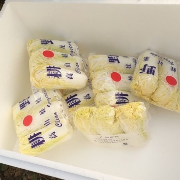 娃娃菜3~4两以上