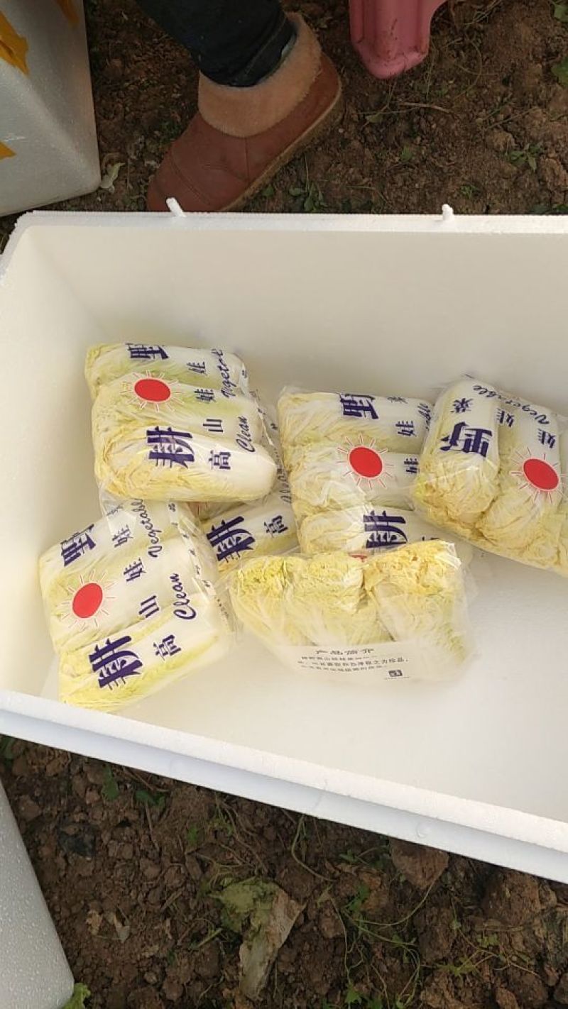 娃娃菜3~4两以上