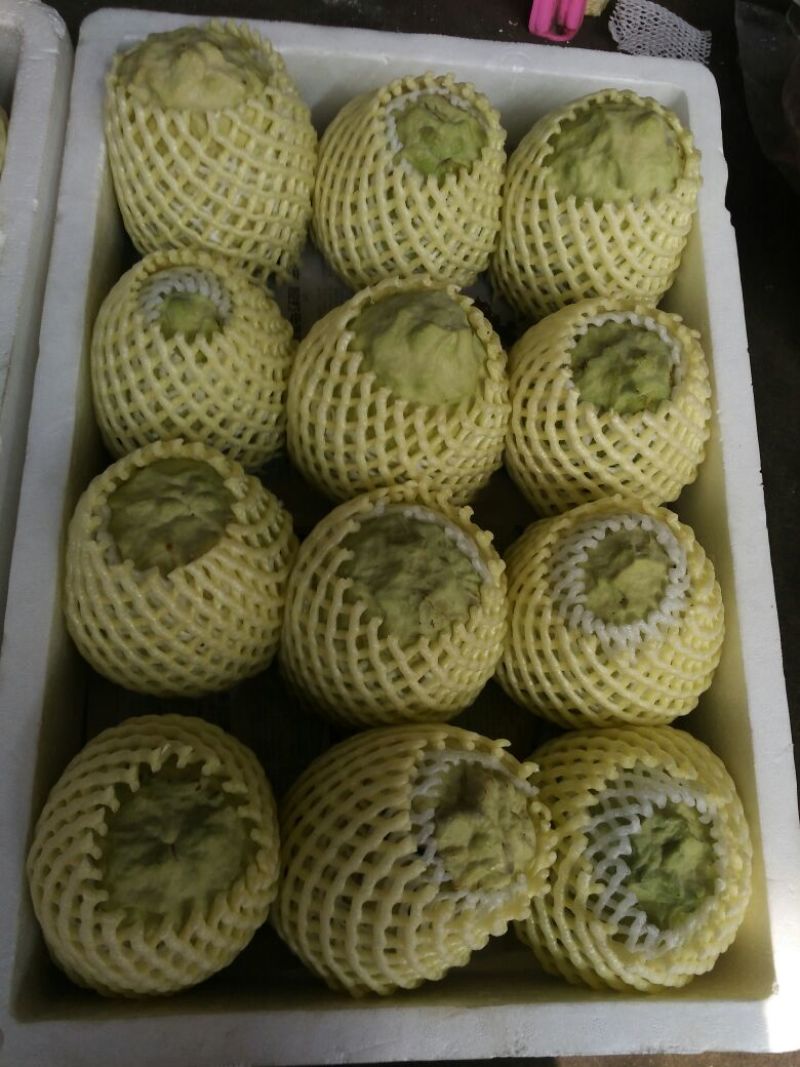 释迦特级450~550g