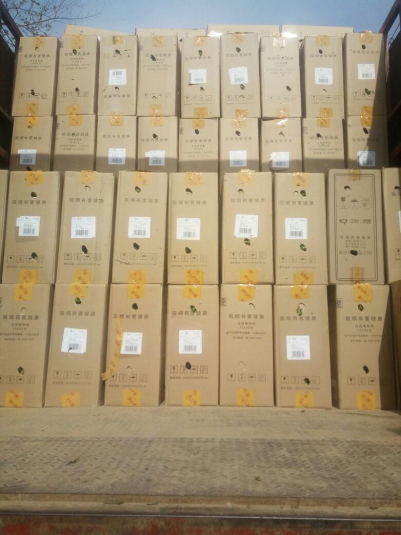 薄皮青椒301辣椒15~20厘米微辣青
