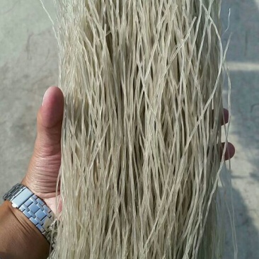 红薯粉条红薯粉条礼盒装，散装