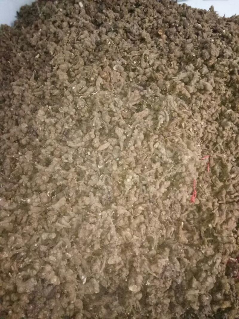 干白术20~25g