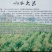 东北大米一级新米