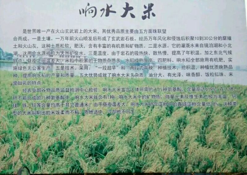 东北大米一级新米