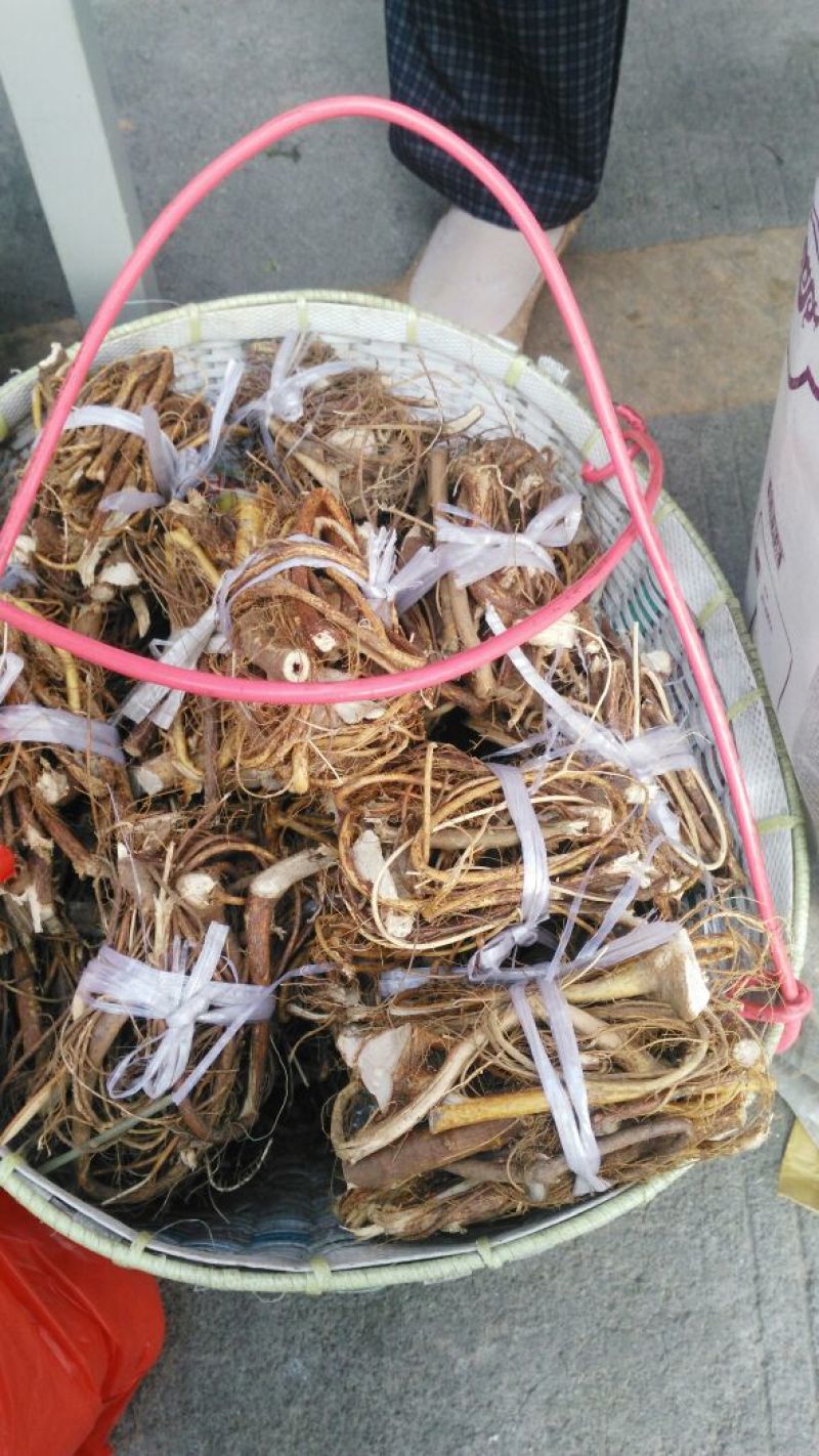 牛奶根