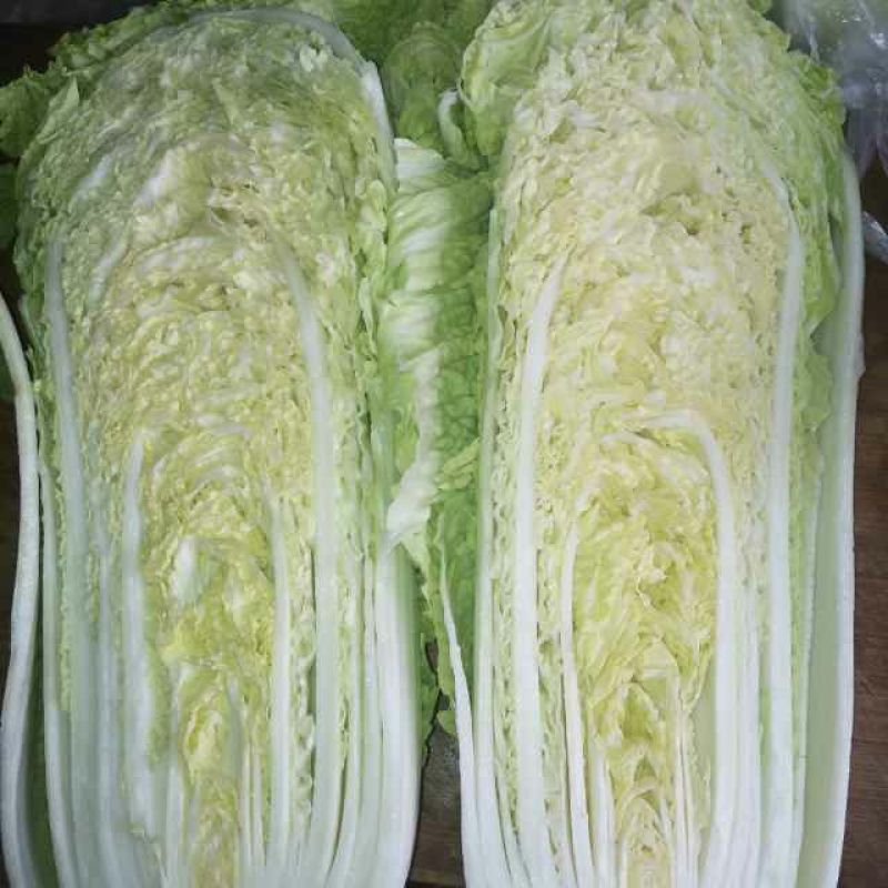 北京新三号白菜4~6斤净菜诚信经营，信誉第一！