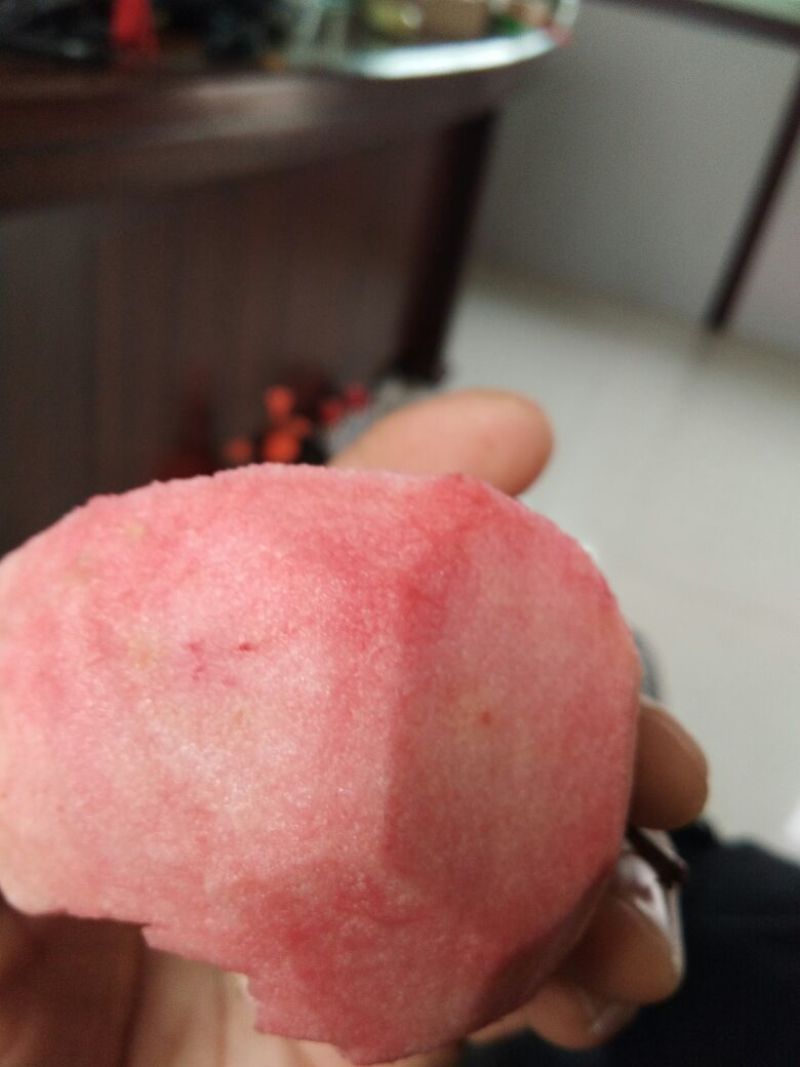 红色之爱苹果苗红肉苹果苗新品种苹果苗育苗基地嫁接苹果苗