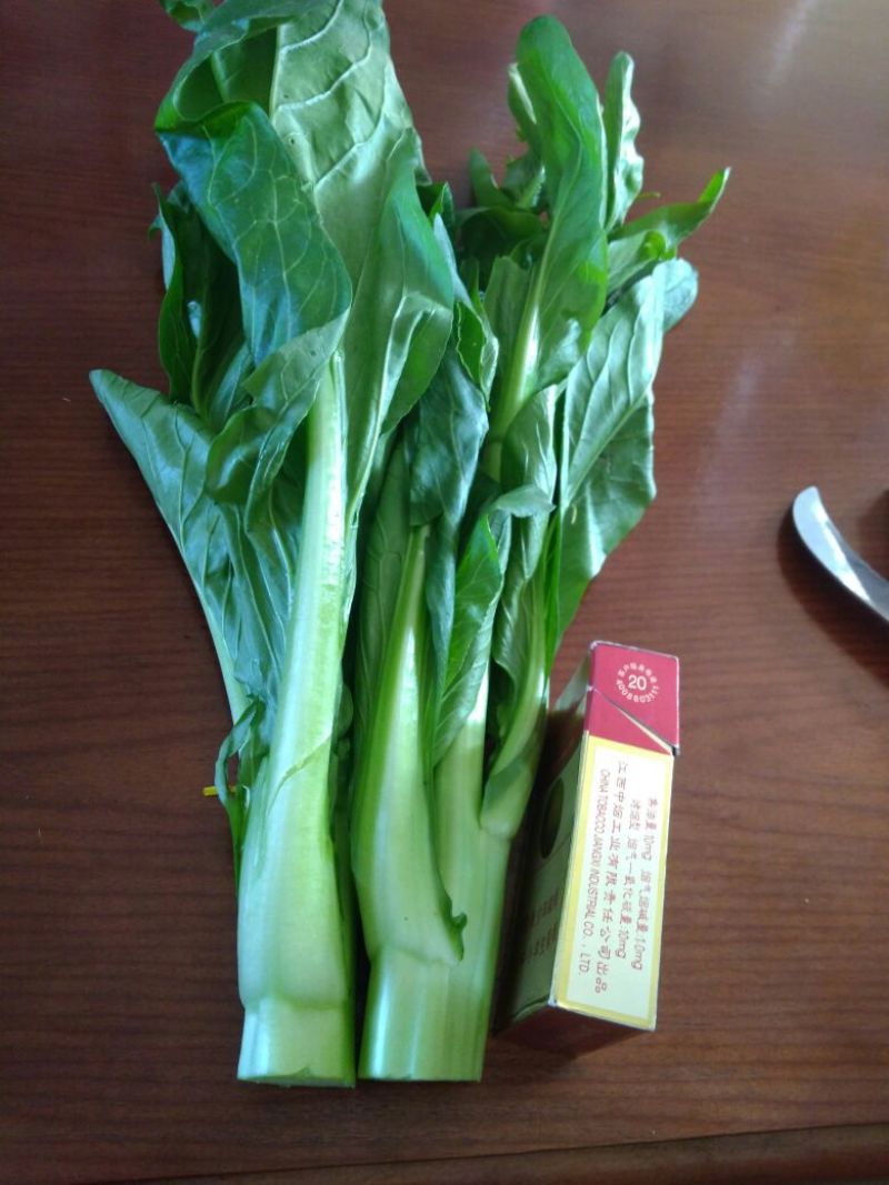 菜苔30~40cm