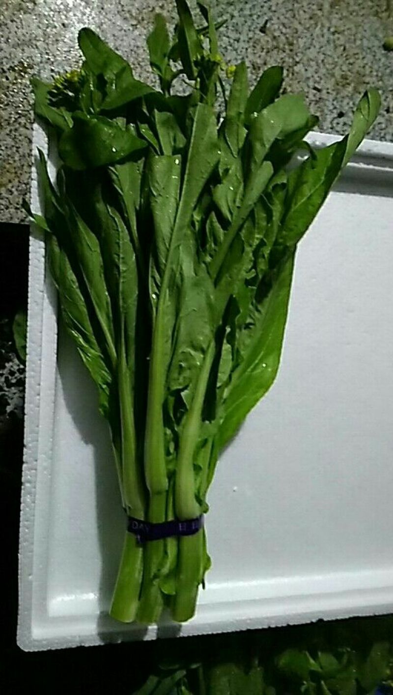 菜苔30~40cm
