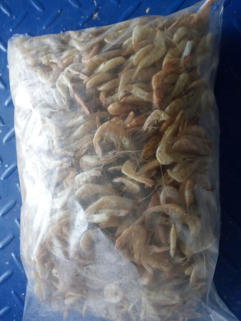 干虾