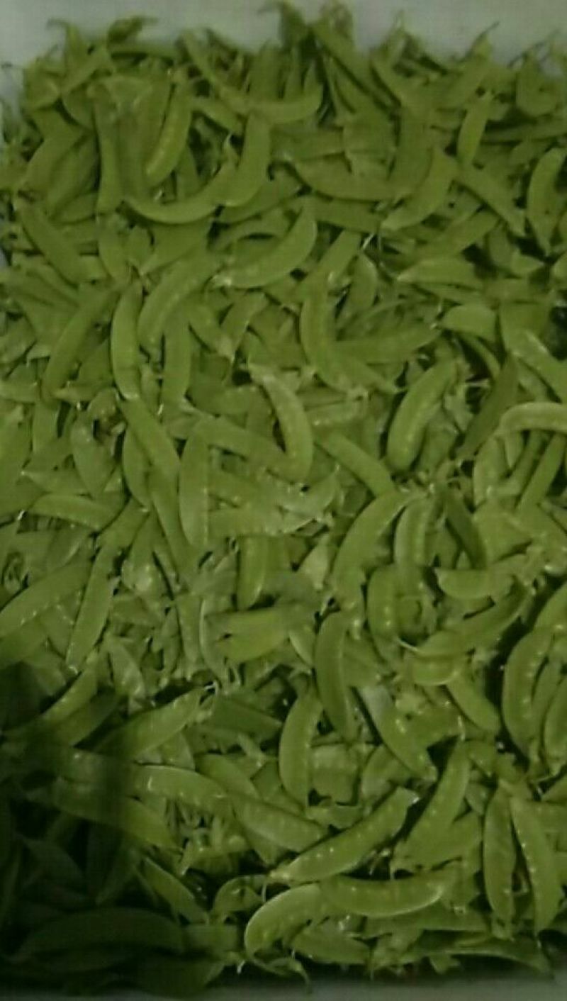 荷兰豆未饱满
