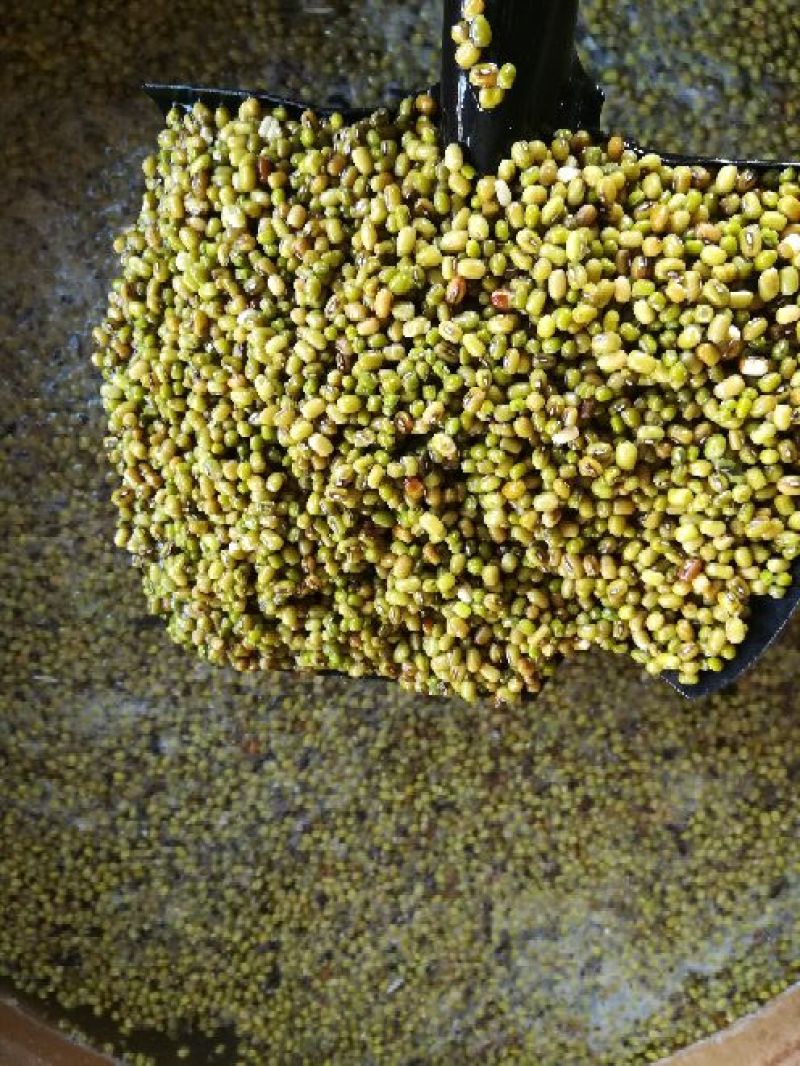 绿豆粉皮散装手工粉皮