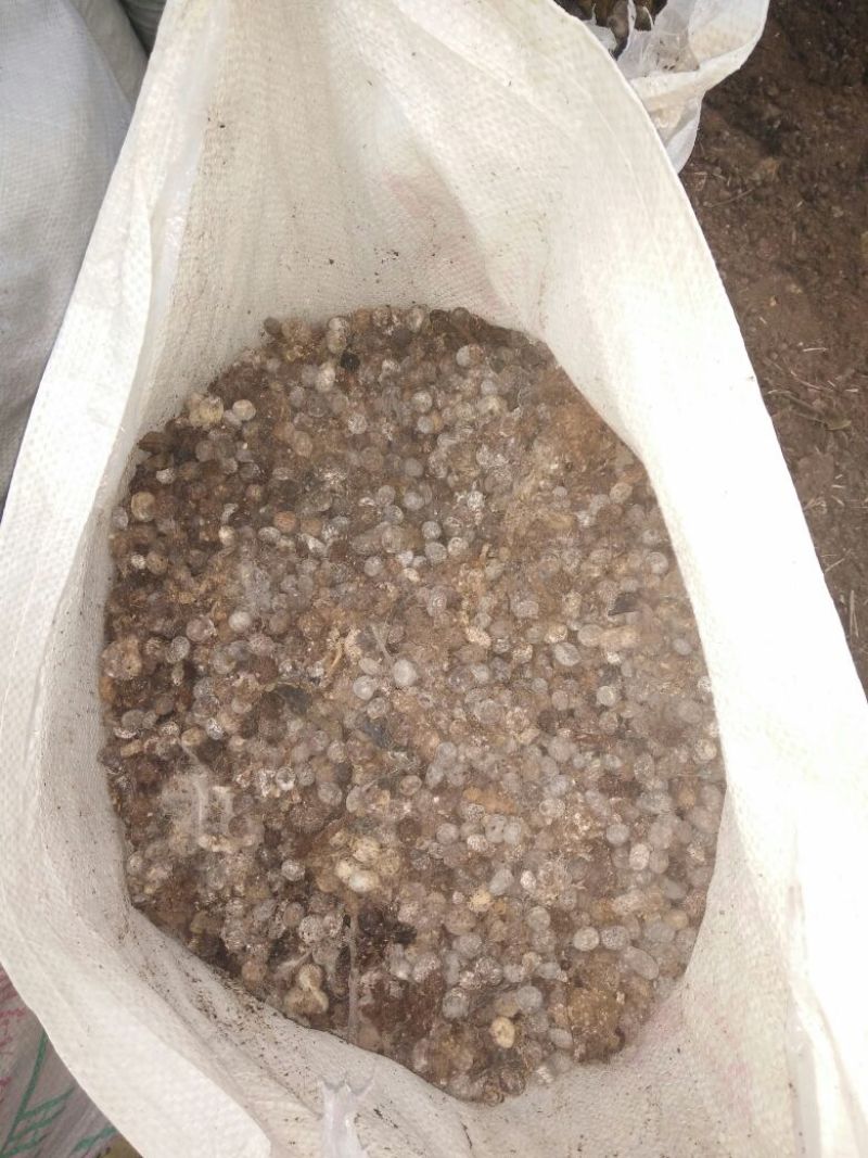 畜禽粪便鹌鹑粪大量出售一手货源需要老板联系