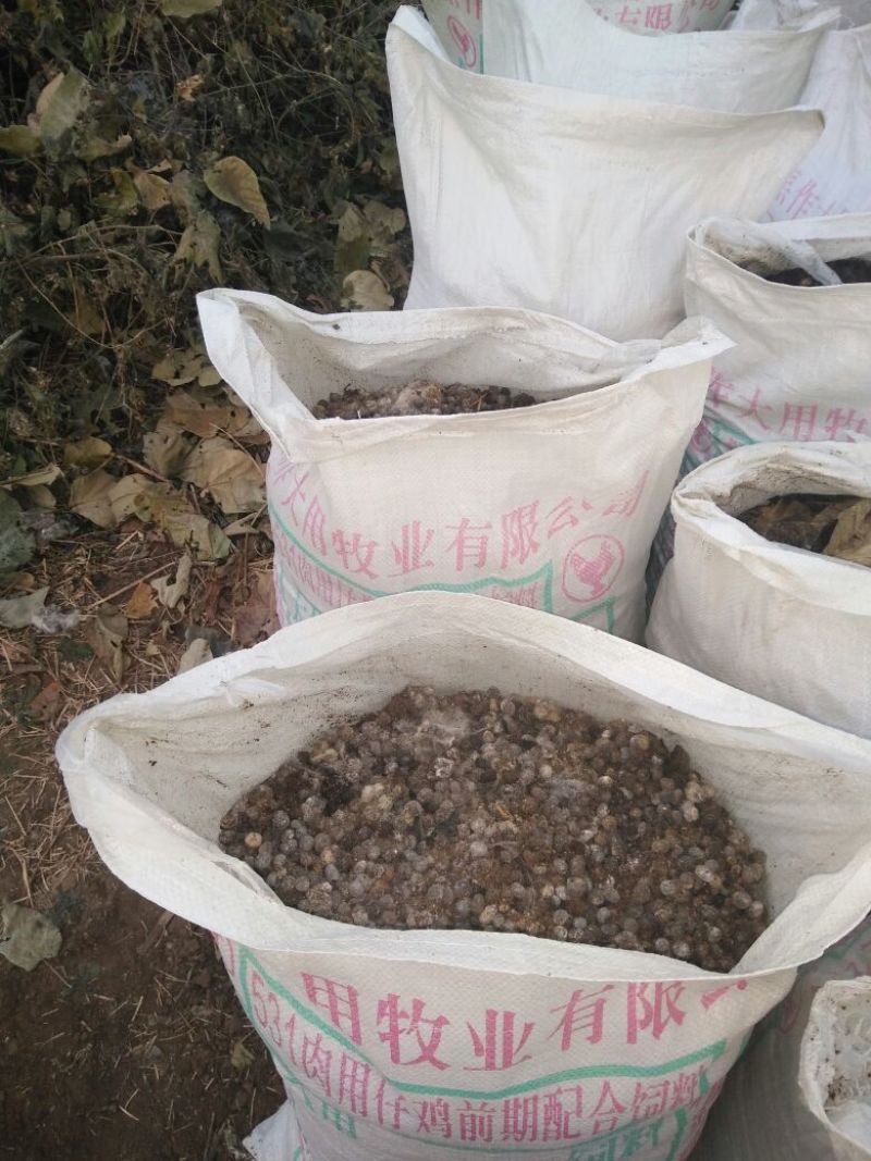 畜禽粪便鹌鹑粪大量出售一手货源需要老板联系