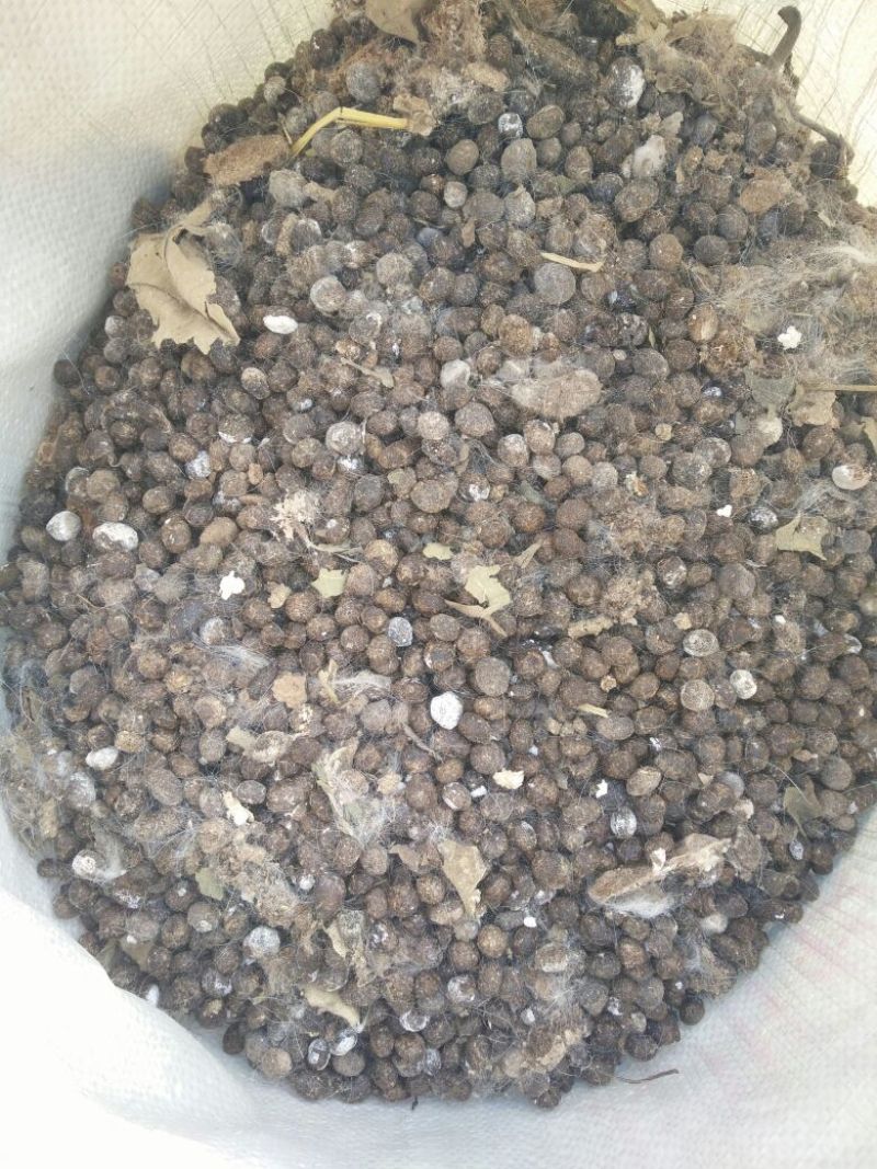 畜禽粪便鹌鹑粪大量出售一手货源需要老板联系