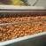 薄皮核桃去皮30mm以上籽仁饱满基地直供