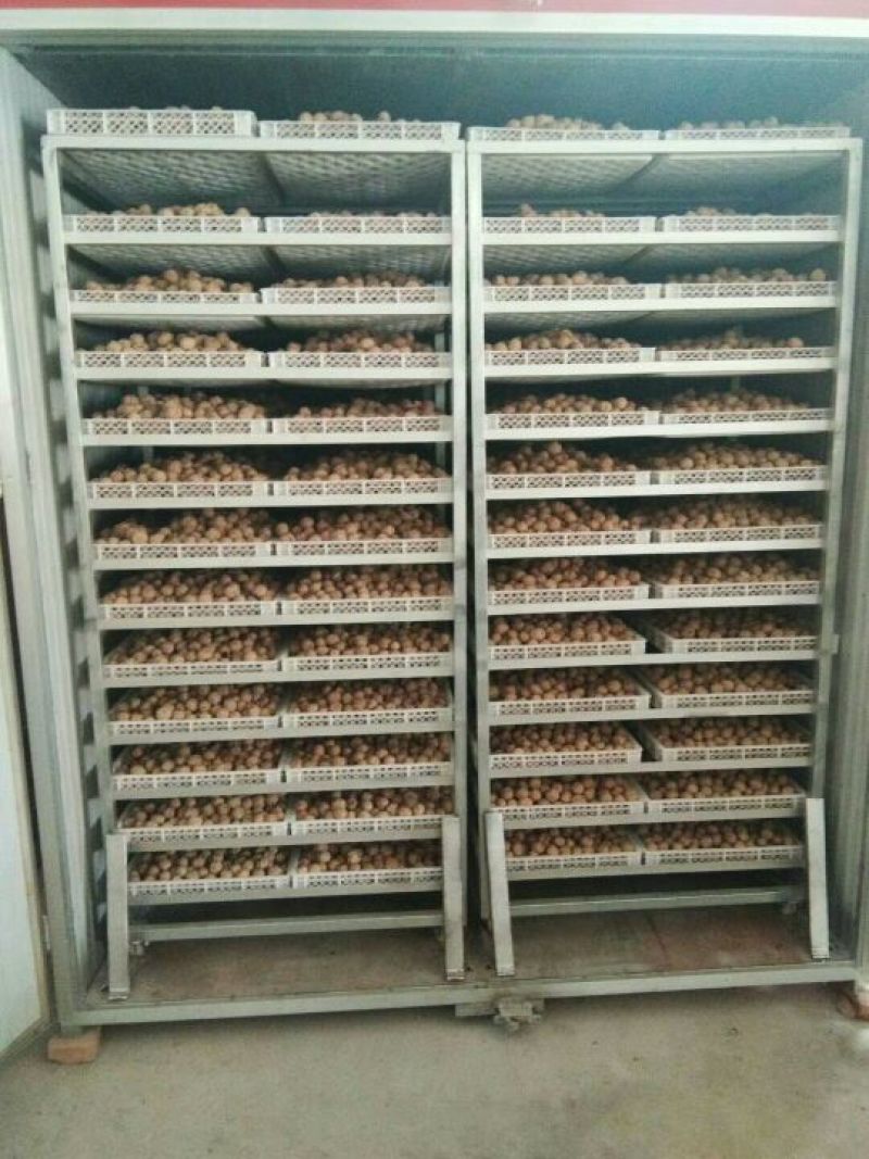 薄皮核桃去皮30mm以上籽仁饱满基地直供