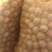 薄皮核桃去皮30mm以上籽仁饱满基地直供