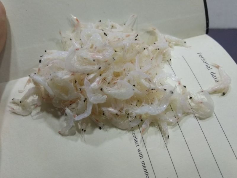 虾皮特级