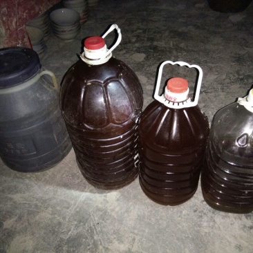 茶树油