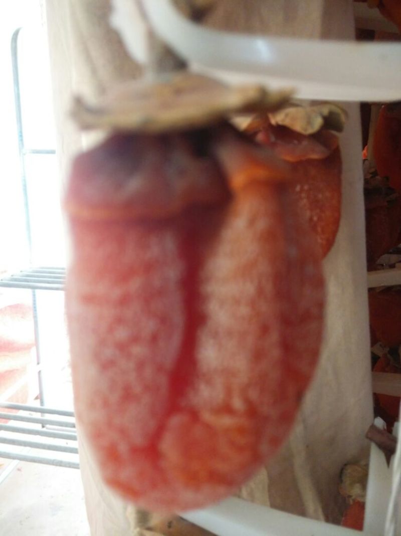 柿饼1~2两