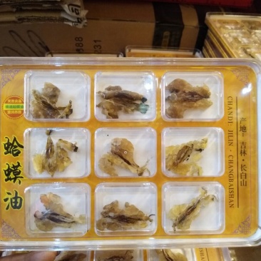 林蛙油