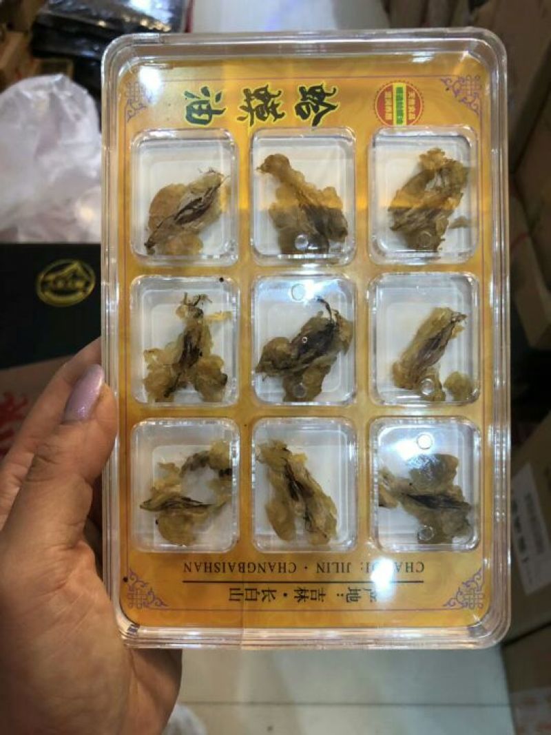 林蛙油