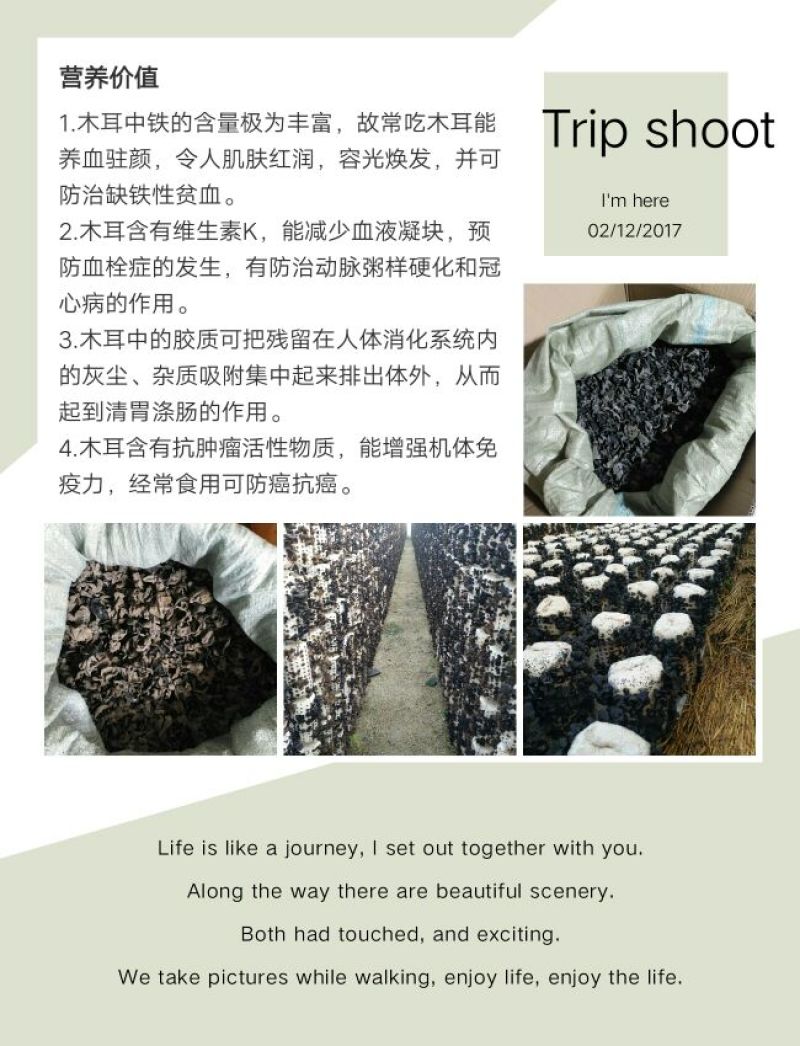 黑木耳特级