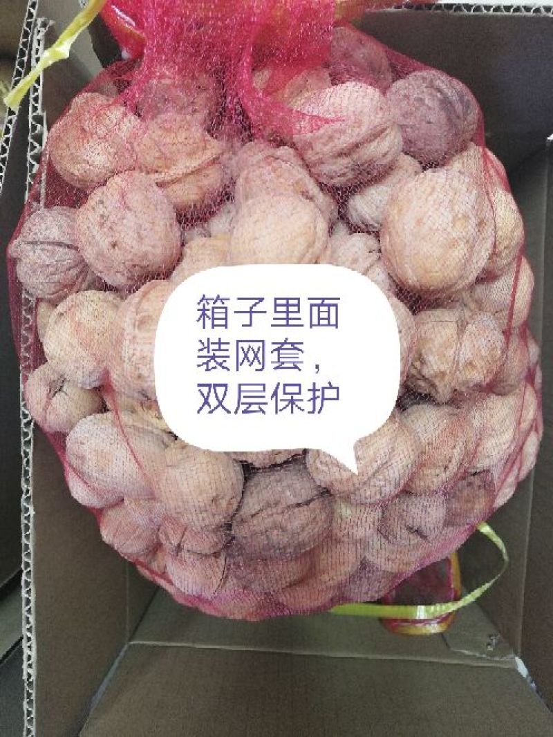 山核桃去皮25~30mm干