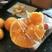 九月红脐橙基地直供，专做精品支持视频看货