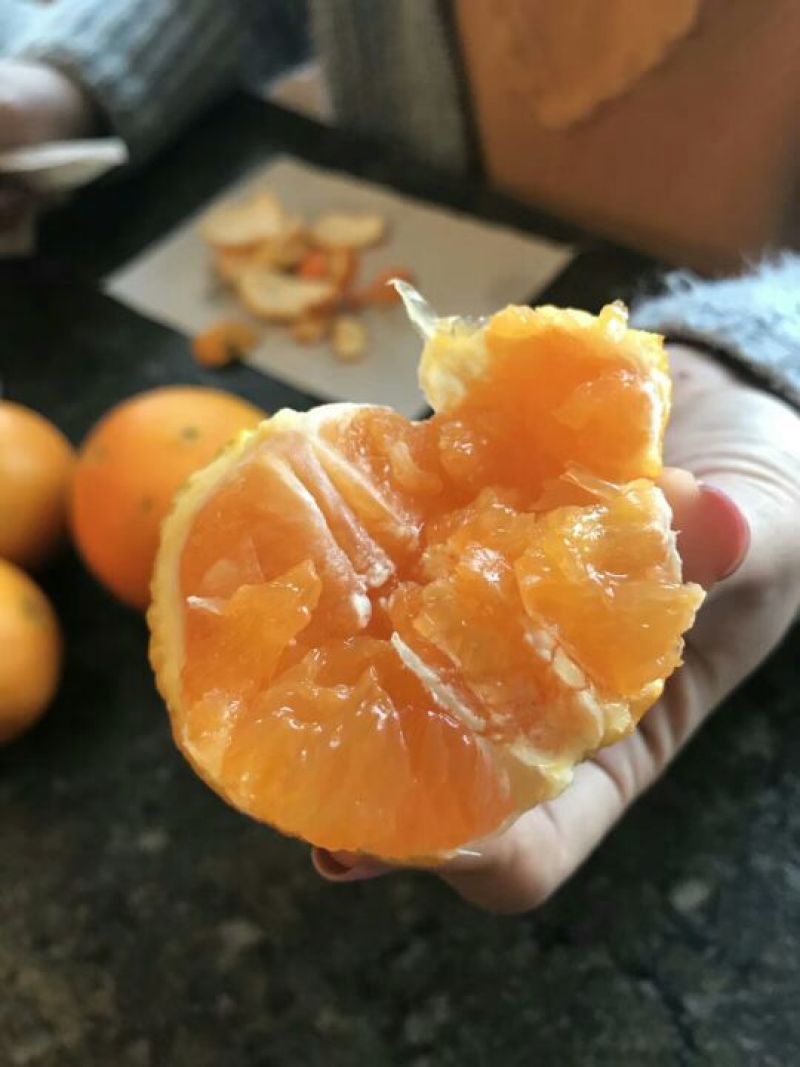 九月红脐橙基地直供，专做精品支持视频看货